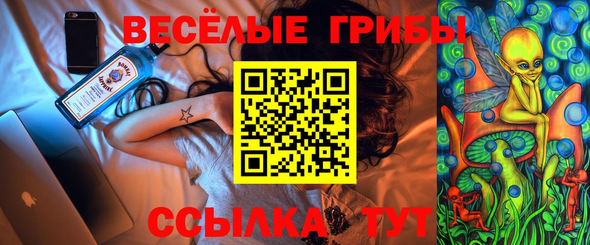 Галлюциногенные грибы прущие грибы  Псилоцибиновые грибы Psilocybe  купить закладку  Кировск  Вход с VPN 